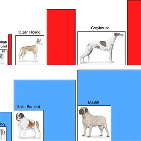 The Population Structure Of 85 Dog Breeds The Dataset Includes Five