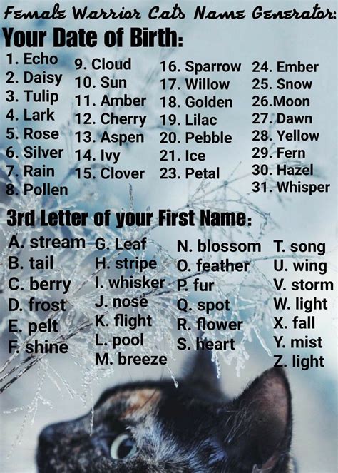 Warrior Cats Name Generator Official
