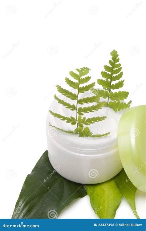 Cosmetic Cream With Leaf Stock Photo Image Of Water 23437498