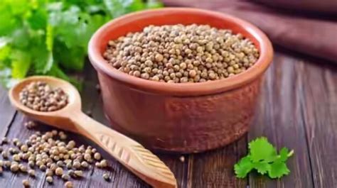 Amazing Coriander Seeds Benefits From Tackling Diabetes To Improving
