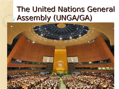 The United Nations General Assembly Ungaga The
