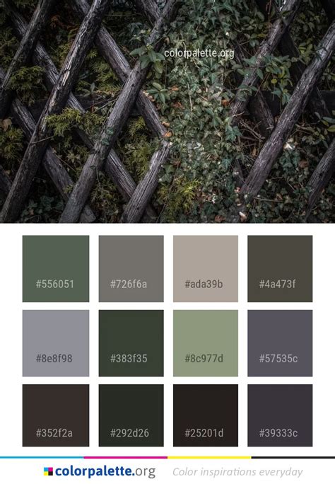 Rainforest Color Palette Ideas
