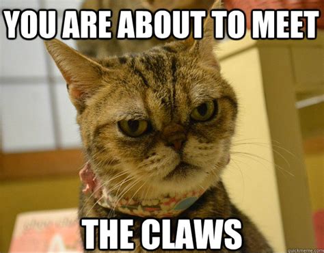 You Are About To Meet The Claws Angry Cat Quickmeme
