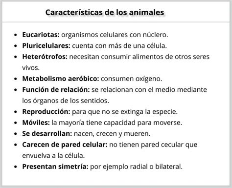 Características De Los Animales Clasificación Tipos O Clases