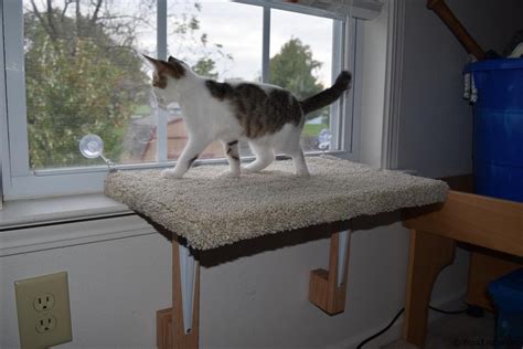 Cat Window Perch Woodlogger
