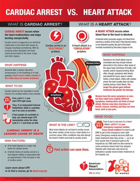 A heart attack does not always have obvious symptoms, such as pain in your chest, shortness of breath and cold sweats. Cardiac-Arrest-Versus-Heart-Attack-Infographic