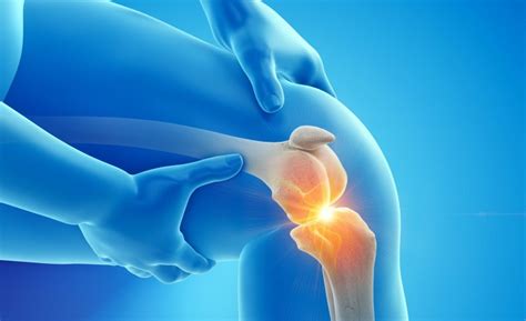 Regrow Cartilage In Joints Science Says You Can