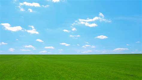 Meadow With Green Grass And Blue Sky With Clouds Stock Footage Video