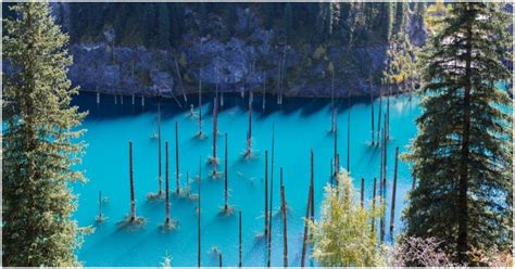 A Wonder Of Nature Helped By An Earthquake The Sunken Forest Of Lake