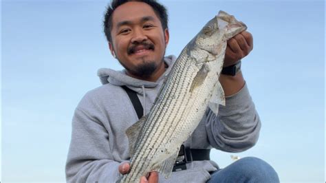 California Delta Striped Bass Fishing YouTube