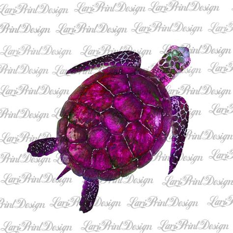 Pink Turtle Watercolor Png Sublimation Graphics Instant Etsy In 2021