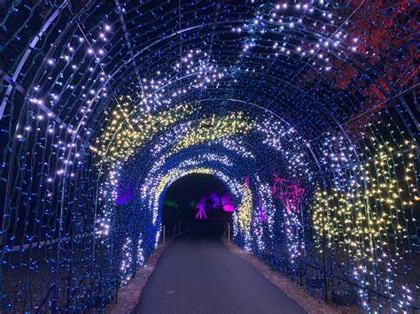 Tunnels Programmable Light Display Holiday Outdoor Decor