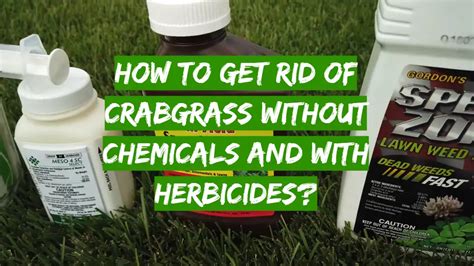How To Get Rid Of Crabgrass Without Chemicals And With Herbicides