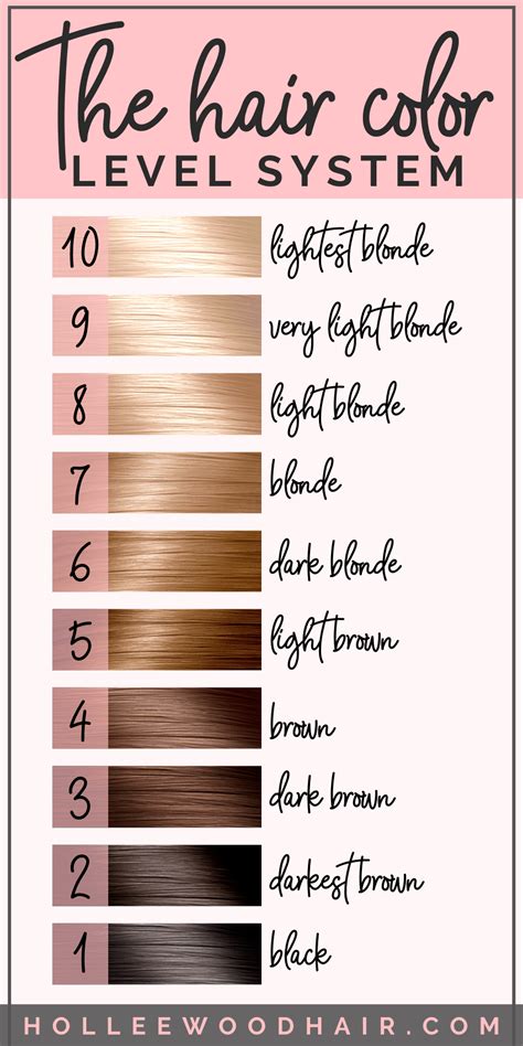 hair level color chart
