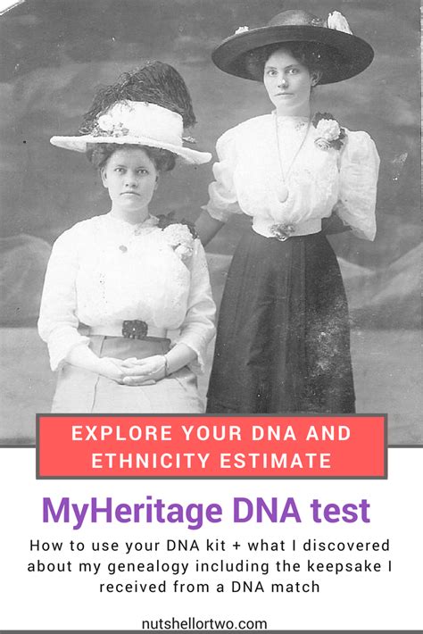 Myheritage Dna Test Discover Your Ancestry In A Nutshell Or Two