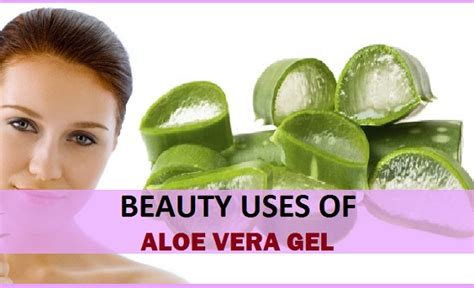 But this answer does not explain the simple purification process to be followed if we want to use the aloe vera inner gel directly from the plant. 9 Best Homemade Beauty Tips of Aloe Vera Gel for Skin and Hair