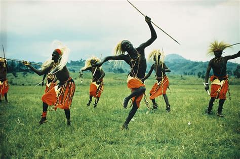 The Tutsi
