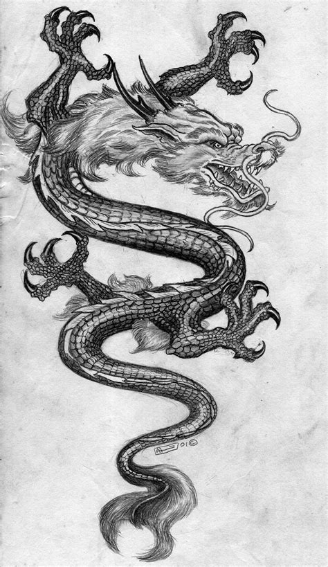 Chinese Dragon Drawings In Pencil