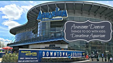 Denver Things To Do With Kids Downtown Aquarium Explorer Momma