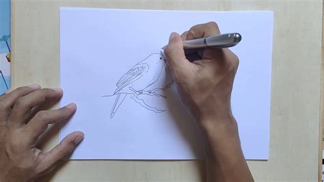 Cara Melukis Burung Yang Mudah Belajar Menggambar Burung Dari Angka