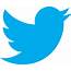 Twitter Logo Bird Transparent Png  NVCS Ltd