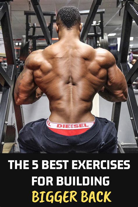 The 5 Best Exercises For Building Bigger Back In This Article Im