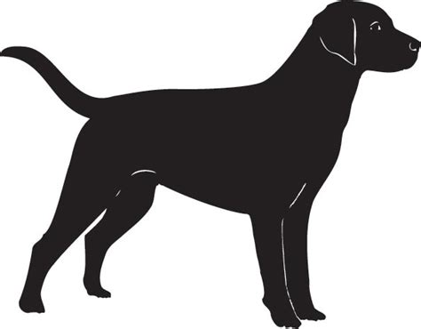 Free Dog Vector Png Download Free Dog Vector Png Png Images Free