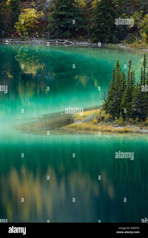 Emerald Lake Nr Carcross Yukon Territories Canada Stock Photo Alamy