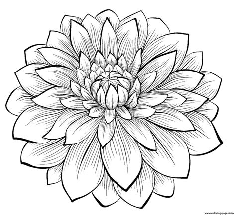 Printable Flower Coloring Pages For Adults Flower Patterns And Swirls