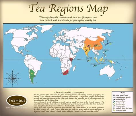 History Of Tea