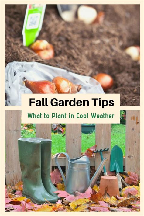 Fall Gardening Tips And Putting A Garden To Bed Turning The Clock Back