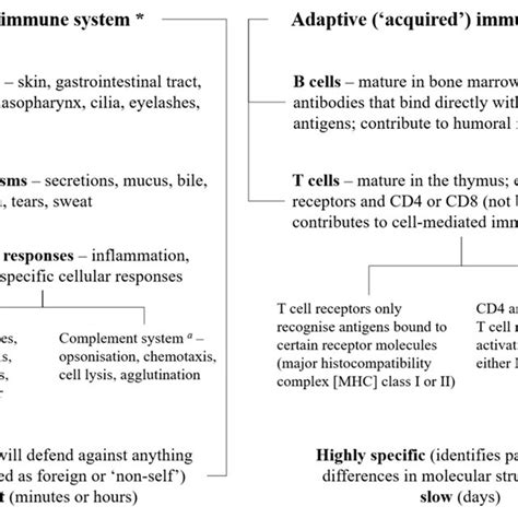 life style factors affecting immune function during adulthood download scientific diagram