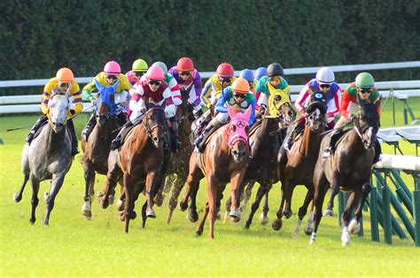 Twitter will show one of the world's biggest horse races ...