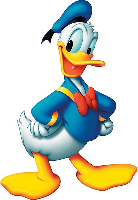 Donald Duck Png Transparent Image Download Size 1022x1477px