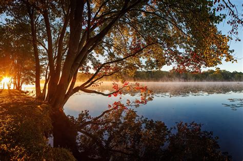 Wallpaper Id 61372 Lake Tree Reflection Nature Autumn Free Download