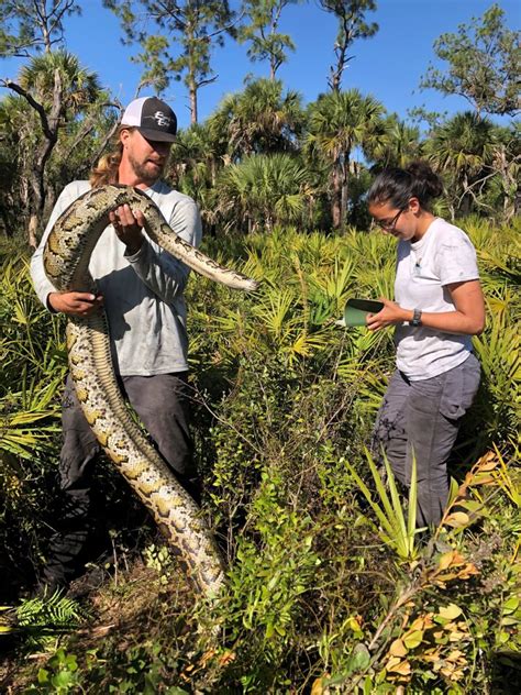 Invasive Species Conservancy Of Southwest Florida