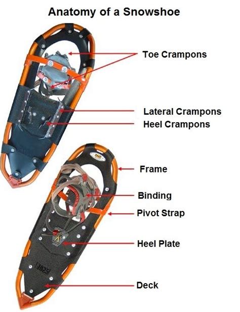 The 7 Best Snowshoes Reviewed For 2017 Outside Pursuits