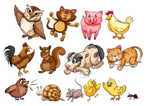Different Type Of Farm Animal And Pet Illustration Vector