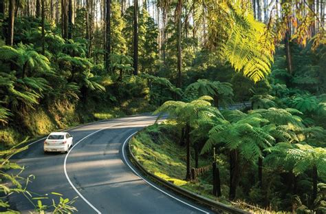 7 Of The Best Scenic Drives In Victoria | Melbourne | The Urban List