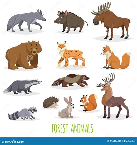 Set Of Woodland And Forest Animals Europe And North America Fauna