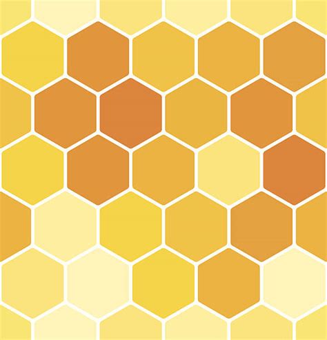 Royalty Free Honey Comb Clip Art Vector Images And Illustrations Istock
