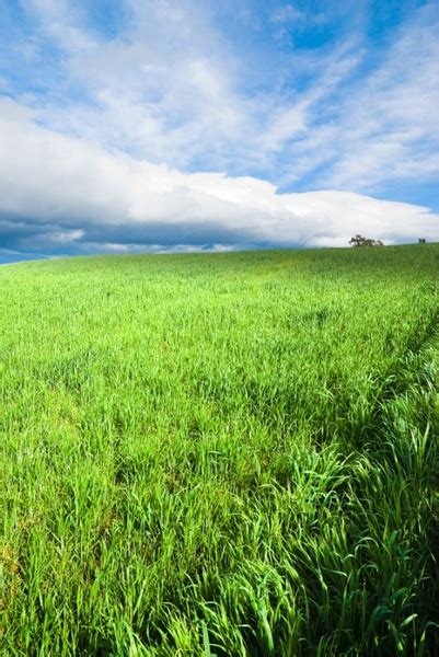 Hdr Grass Free Stock Photos Download 3992 Free Stock Photos For