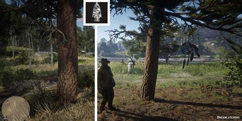 Red Dead Redemption 2 All Dreamcatcher Locations