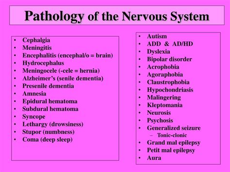 The Nervous System Pathology And Disease Steve Gallik