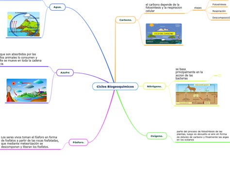 Ciclos Biogeoquímicos Mind Map