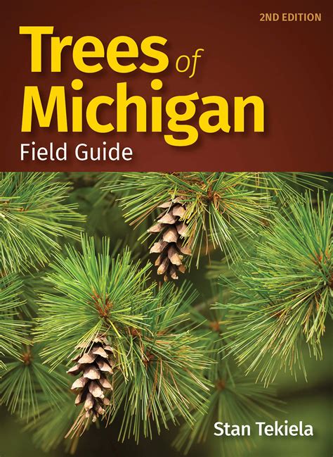 buy trees of michigan field guide tree identification guides online at desertcartindia