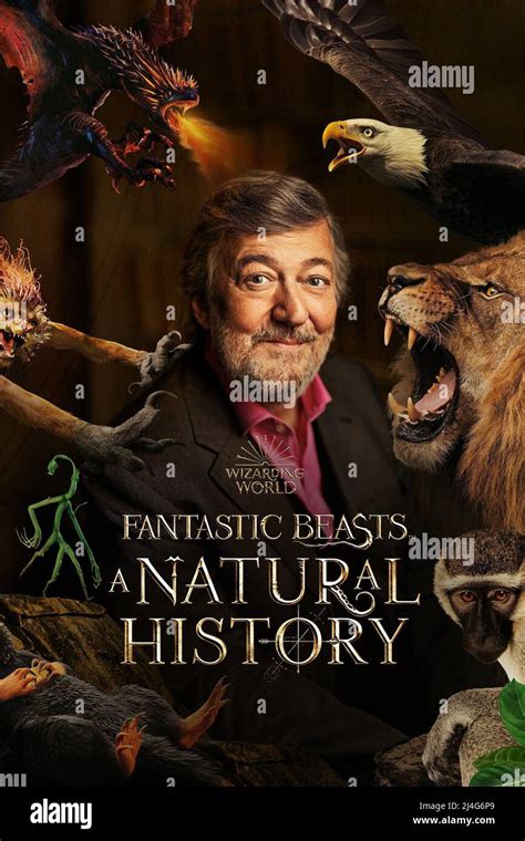 Stephen Fry In Fantastic Beasts A Natural History 2022 Directed By