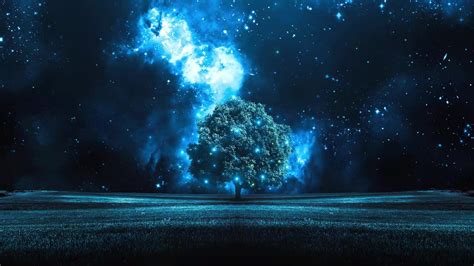 Starry Night Tree Live Wallpaper Wallpaperwaifu