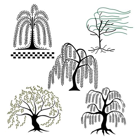 Willow Tree Line Drawing At Explore Collection Of