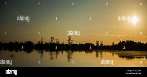 Florida Wetland Sunrise Stock Photo Alamy